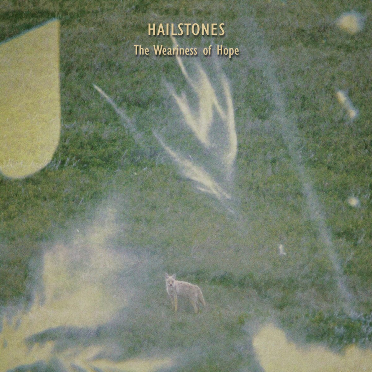  The Weariness of Hope